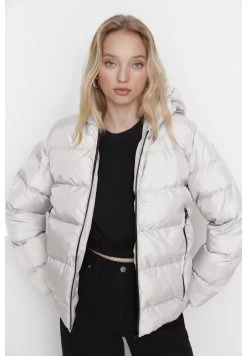 Trendyol Veste D'Hiver - Gray